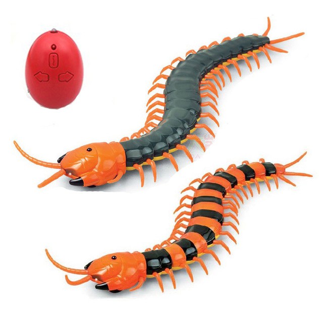 RC SCOLOPENDRA MAINAN REMOTE ANIMAL KELABANG LIPAN MAINAN ANAK ANAK
