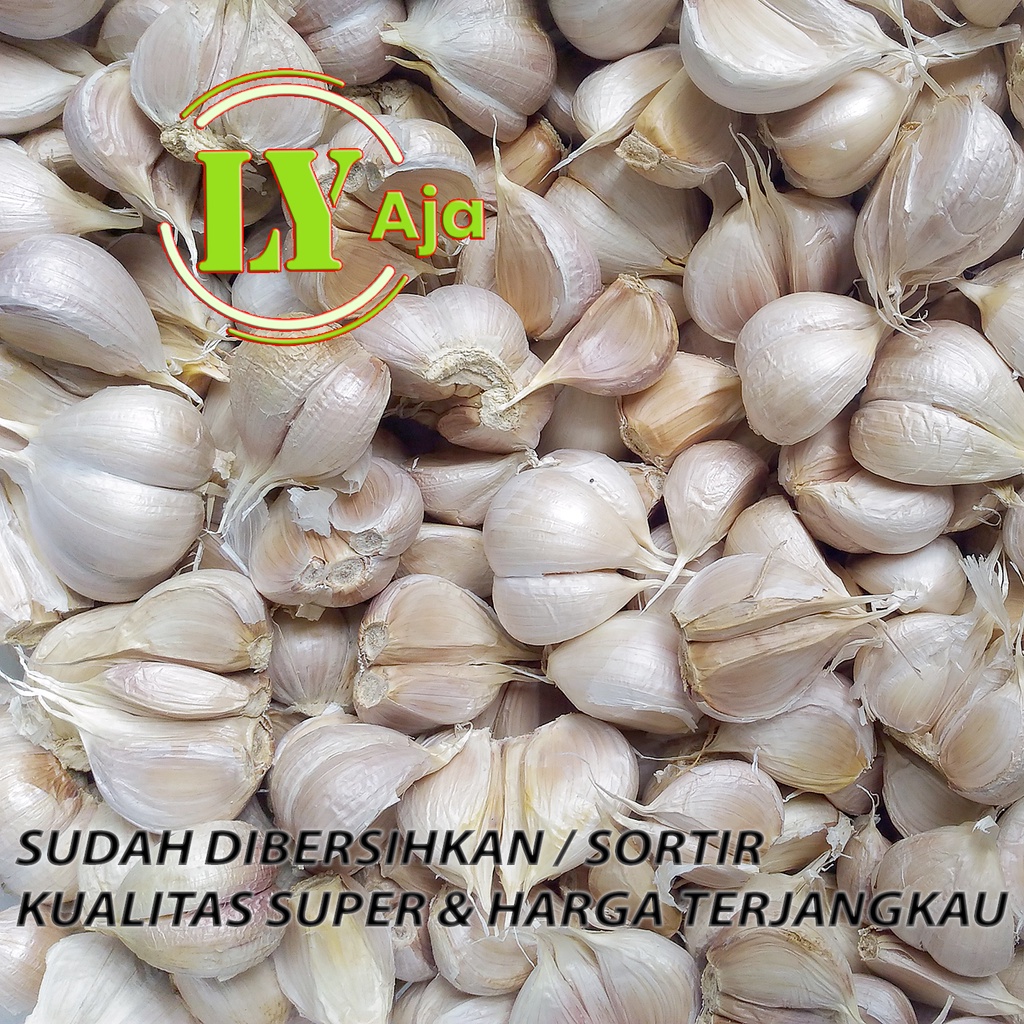 Bawang Putih Kating BERSIH Pretelan 1 Kg 1Kg Kualitas Super LY Aja