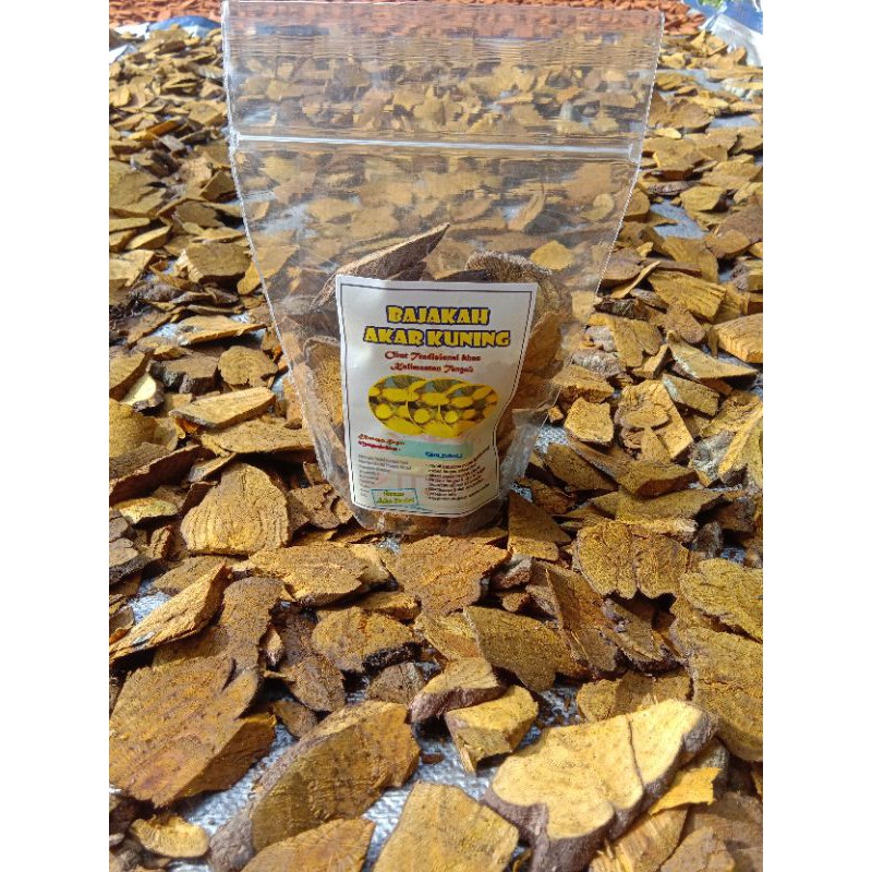 BAJAKAH KUNING KALIMANTAN TENGAH