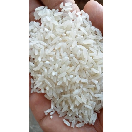 

konsultan izin edar beras