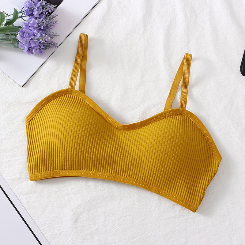 Chipchip Pakaian Dalam Wanita Bra Tanpa Kawat Bh Busa Import Seamless Gaya Korea - 3003-yellow