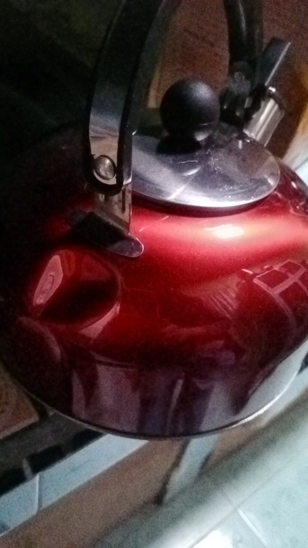 Teko Siul 3 Liter Ceret Bunyi Kettle Stainless Steel Warna