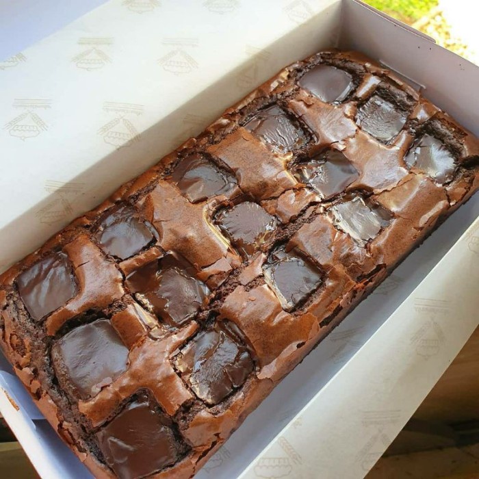 

EW431 Single Toping Fudgy Brownie