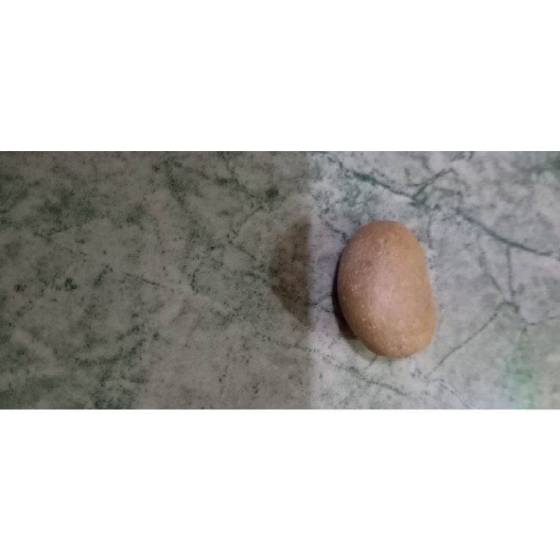 Mustika beton nangka