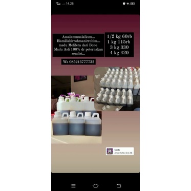 

madu malifera akasia