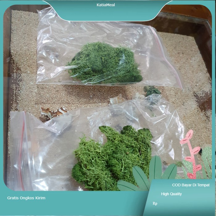 norwegian reindeer moss natural
