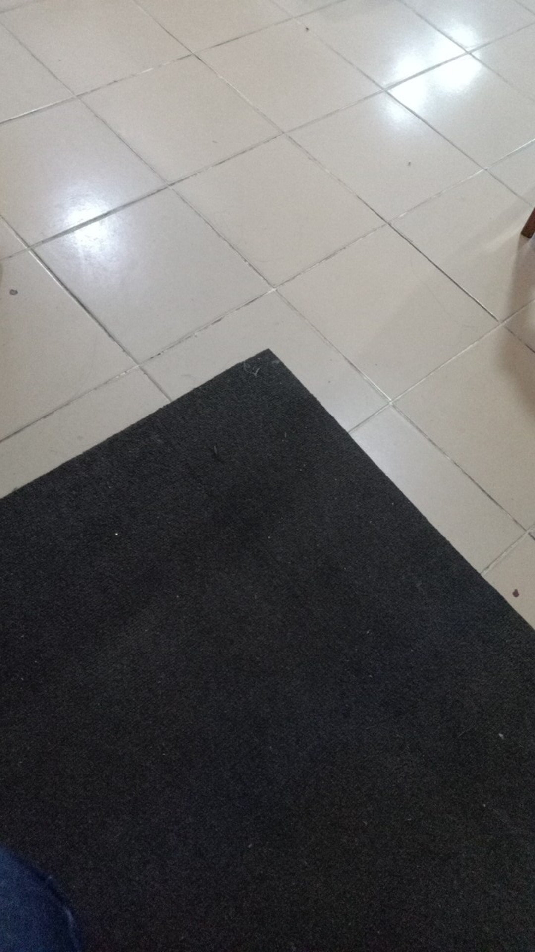 Slinger Hijau / Hiasan Tinsel Dekorasi Pohon Natal / Dekorasi Natal / Slinger Natal Hijau