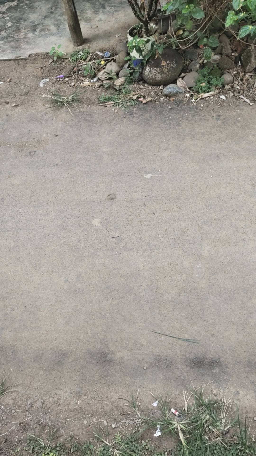 Batik Couple Keluarga Sania Ruffle Ori Ndoro Jowi Dnt Motif Navy Termurah Shopee