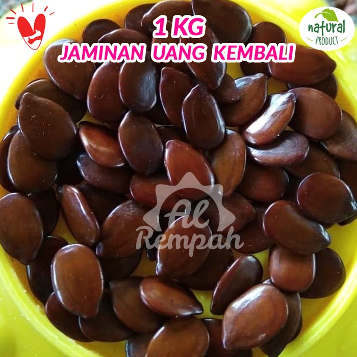 

Biji Lamtoro Kering Biji Petai Cina 1 kg Mandingan - Obat Diabetes