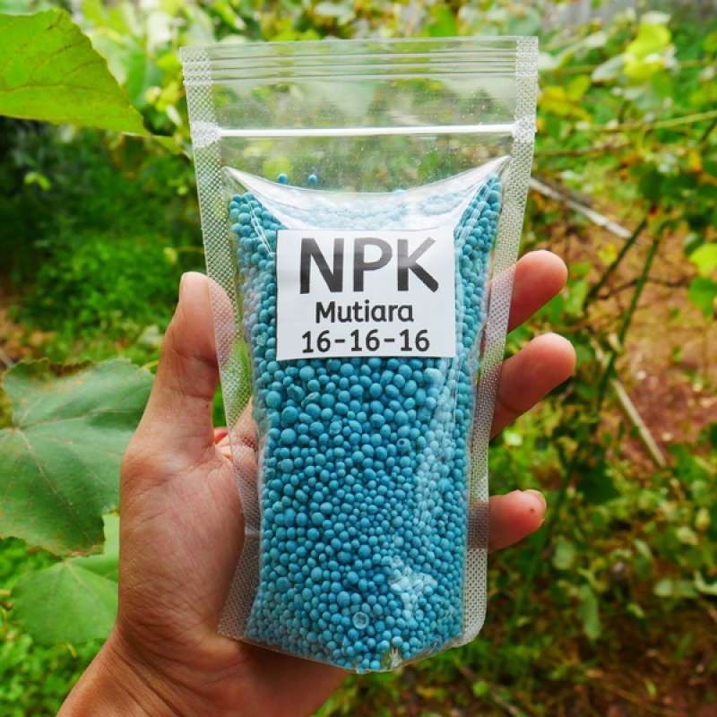 Pupuk npk buah