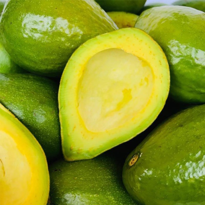 

Buah alpukat premium (900g-1kg)