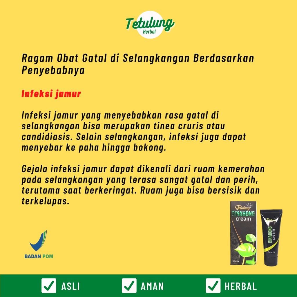 Obat Salep Gatal Selangkangan Kemaluan Binahong - Gatel Jamur Kulit Ruam Kelamin 20gr [BPOM]-3