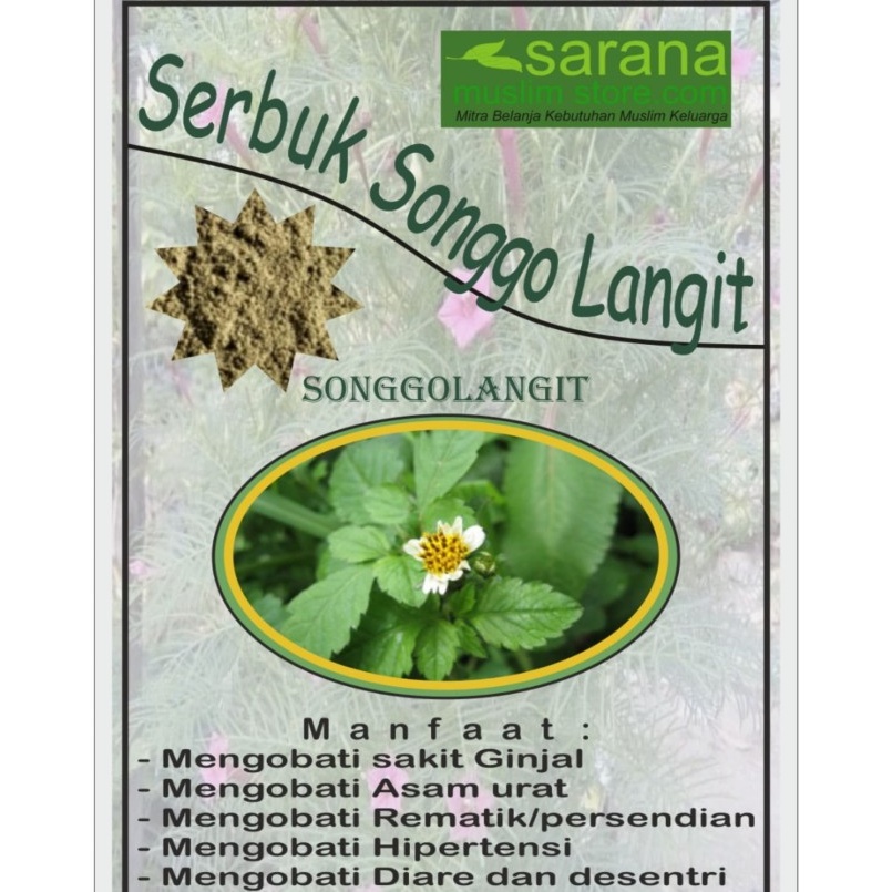 

Serbuk Bubuk Songgolangit Asli Kemasan 250gr Atasi Berbagai Penyakit