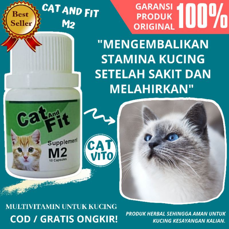 Suplemen Vitamin Untuk Mengembalikan STAMINA KUCING setelah sakit, operasi, hamil dan melahirkan