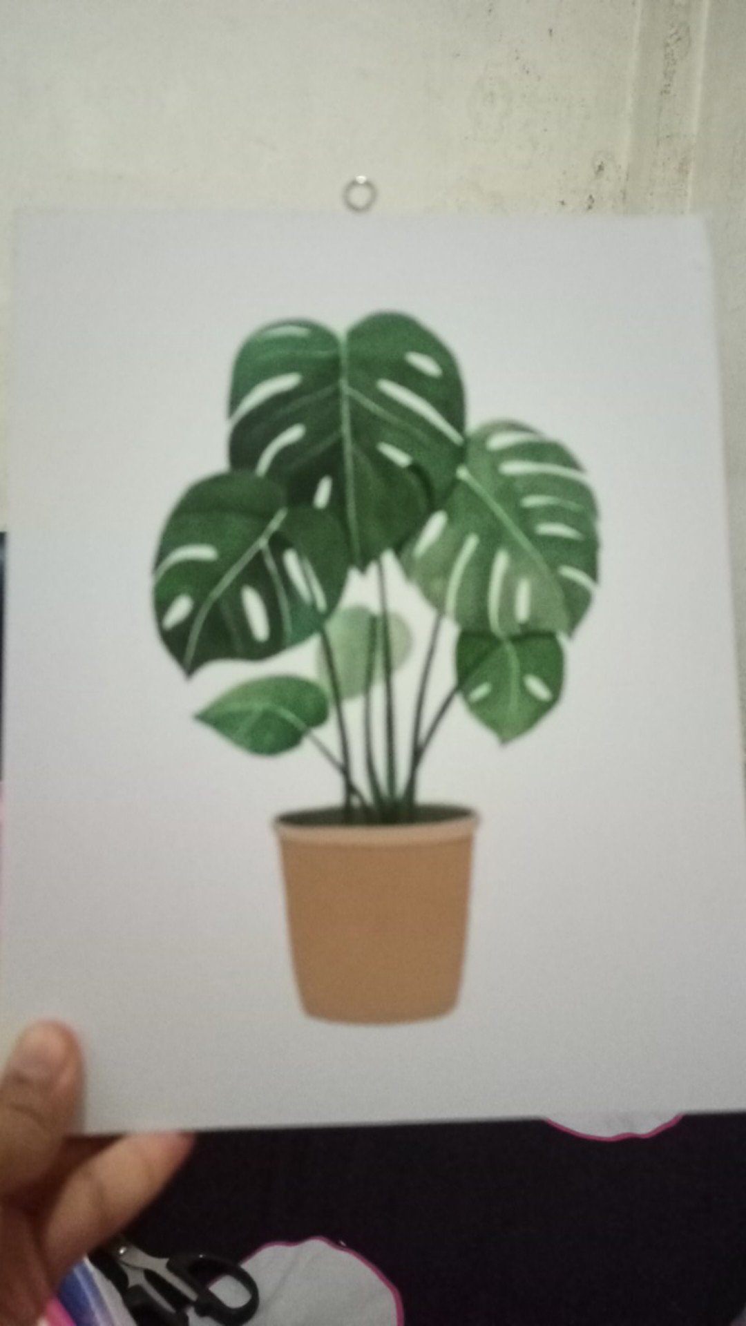 Hiasan Dinding Poster Dekorasi Rumah Tanaman Monstera Pajangan