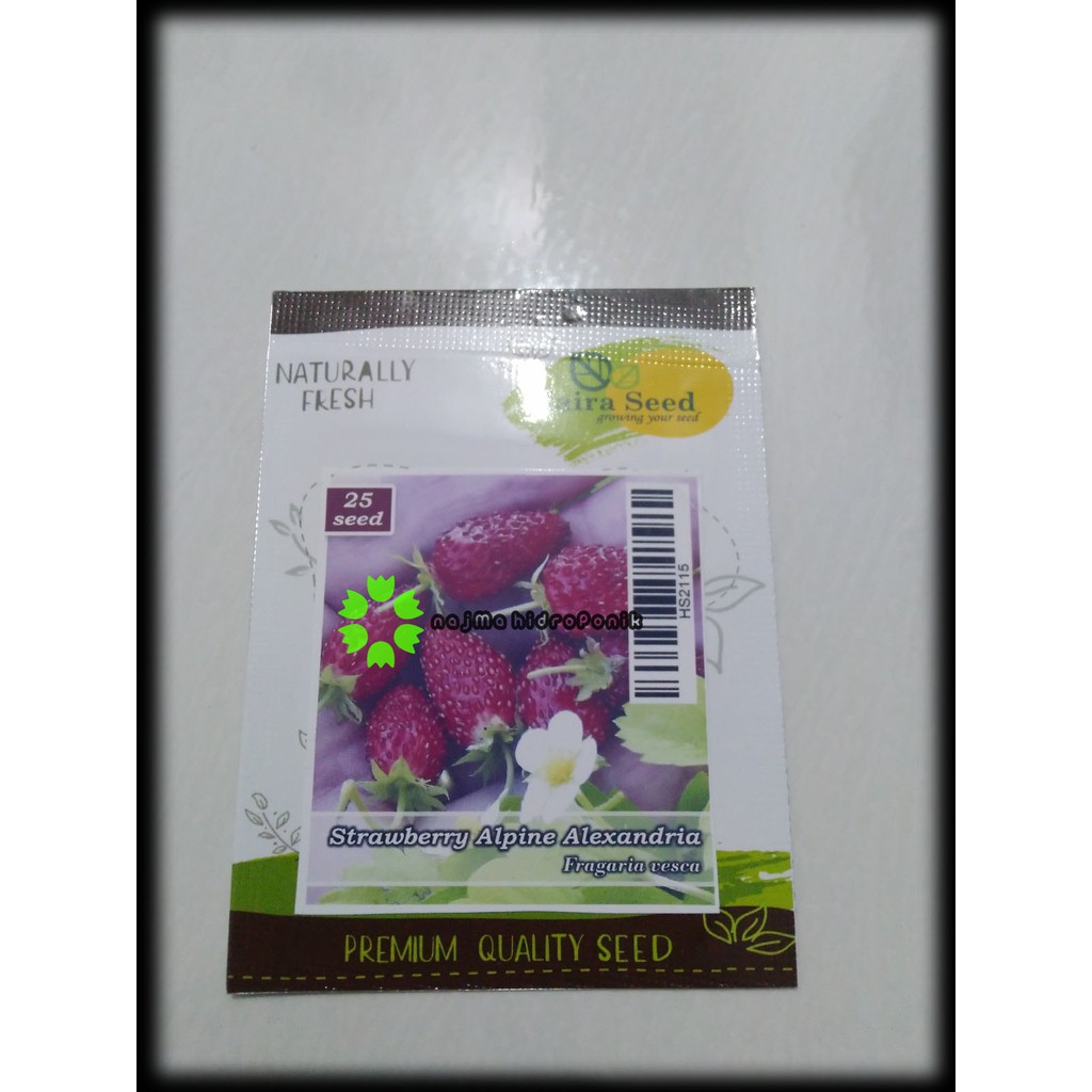 Benih Strawberry Alpine Alexandria Pouch (Haira Seed)