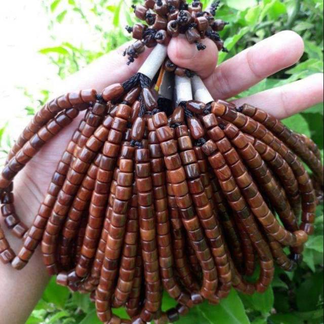 Gelang Rajah kaokah Asli