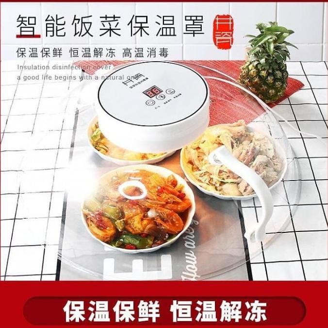 Tudung Saji Elektrik Small 42cm