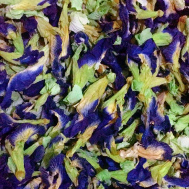 

Butterfly Pea Flower (bunga telang)