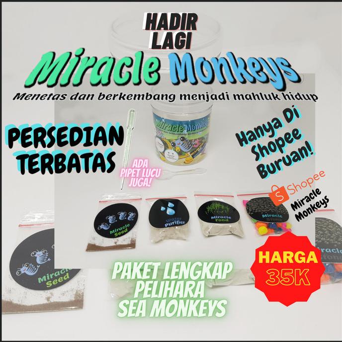 BISA BAYAR DITEMPAT Miracle Monkeys - Peliharaan Ajaib Sea monkey KOMPLIT Kode 255