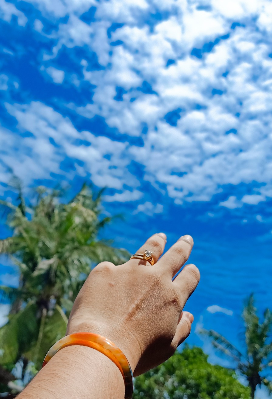 Benih Biji Sawi Putih Pack - 100 Biji - Gp