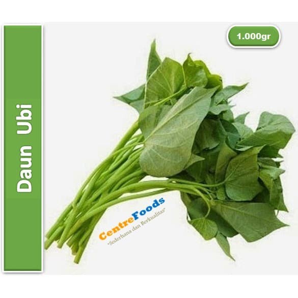 

Sayur Daun Ubi Jalar - Daun Ubi Fresh | 500gr [ Harga Per 0,5 Kg ]