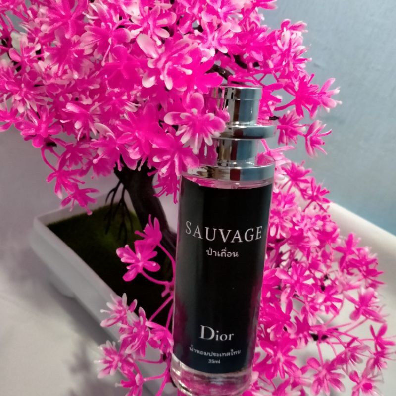 Parfum Bibit Thailand SavageDior
