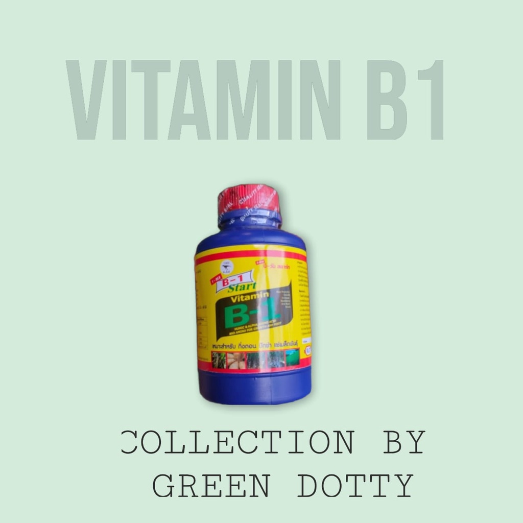 Vitamin B1 Thailand Tanaman Booster