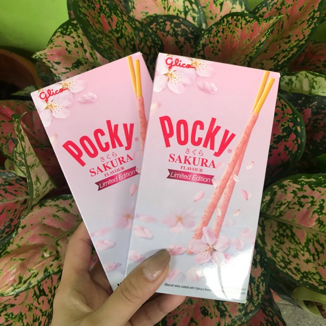 Pocky Sakura Flavour ( Limited Edition )