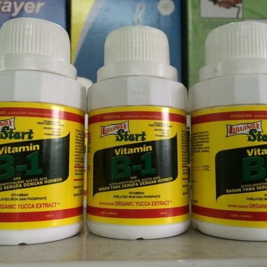 pupuk vitamin B1