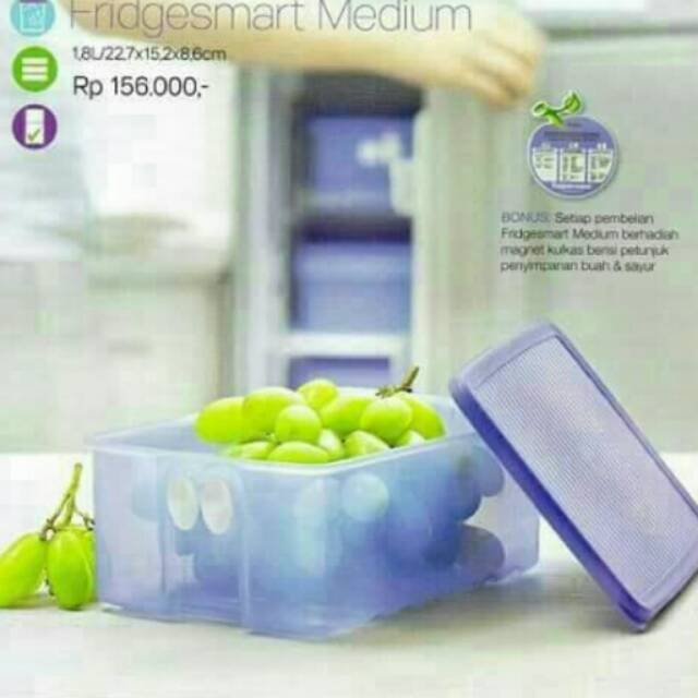 Fridgesmart Medium dan kiddi set isi 4