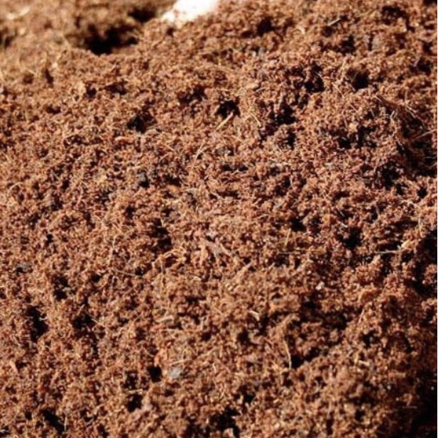 Jual Cocopeat per 1 kg Media Tanam