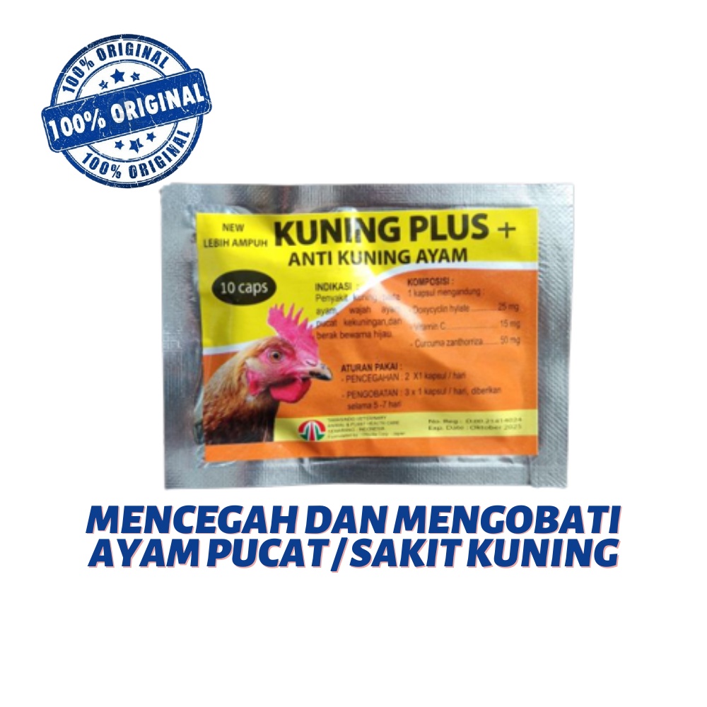 KUNING PLUS - untuk ayam pucat