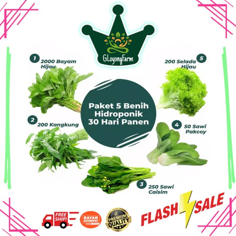 Paket 5 Benih Sayuran Daun 30 Hari Panen Bayam Kangkung Pakcoy Selada Caisim