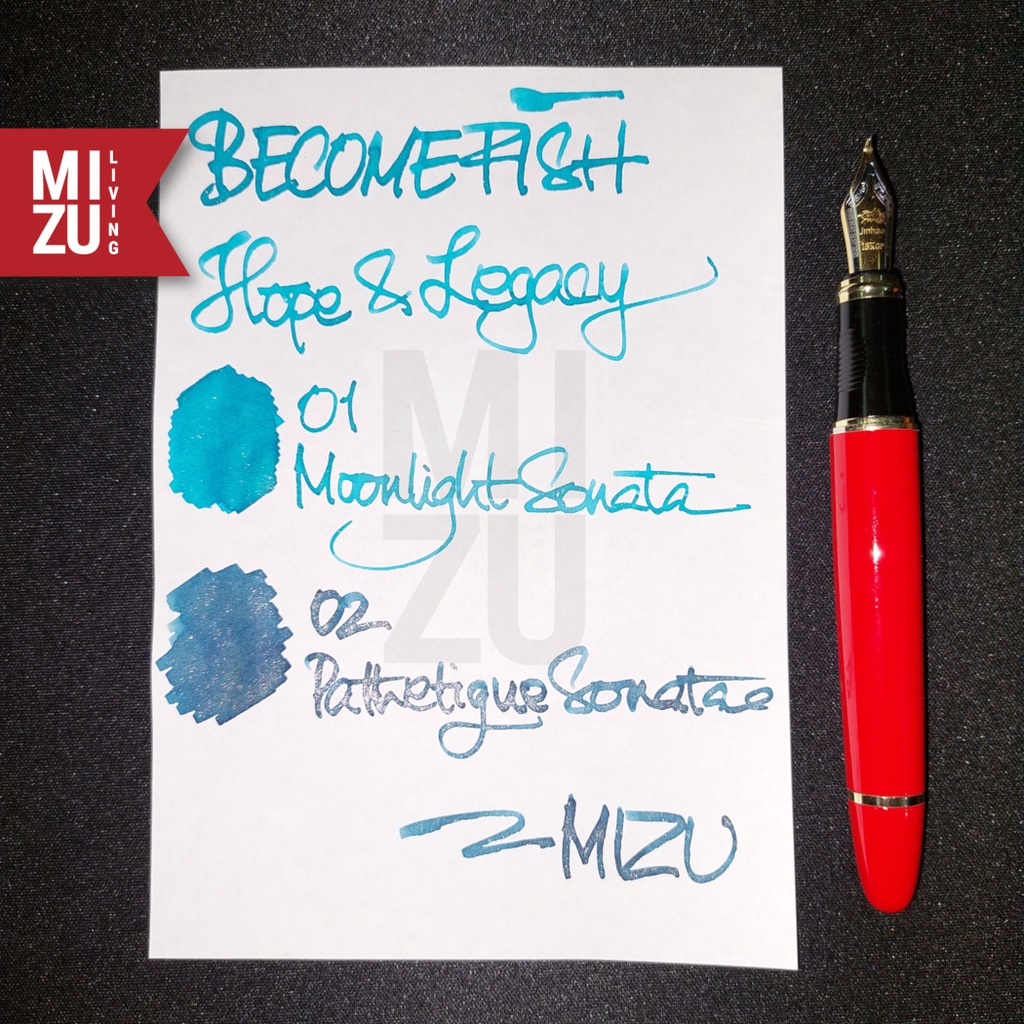 BECOMEFISH H&amp;L Shimmer Shading Sheening Fountain Pen INK