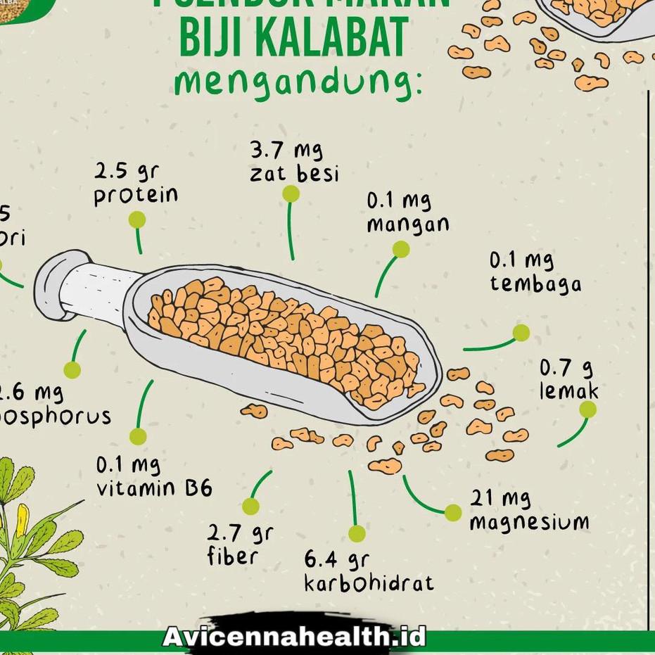 

Biji Halba Avicennahealt 250gr | Fenugreek Seed Kelabat Hulbah | Methi [ORIGINAL] //WETTS Shoping now