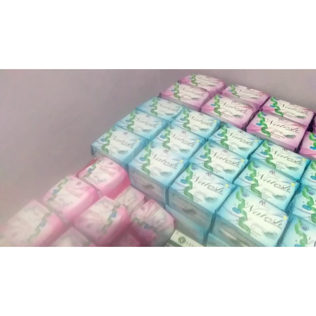 Natesh Sanitary Pads Pantyliner Night Day Use Pembalut Herbal Panty, Siang, Malam KK Indonesia