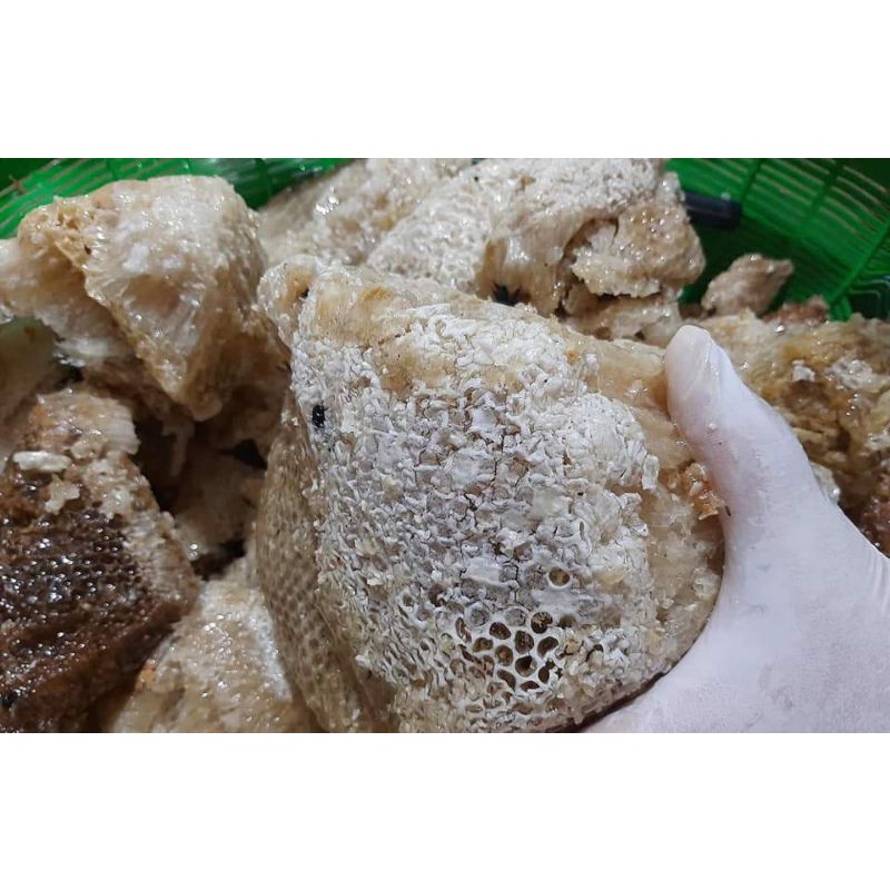 

Grosir Madu Hutan Super 10.kg (Sudah Di peras)