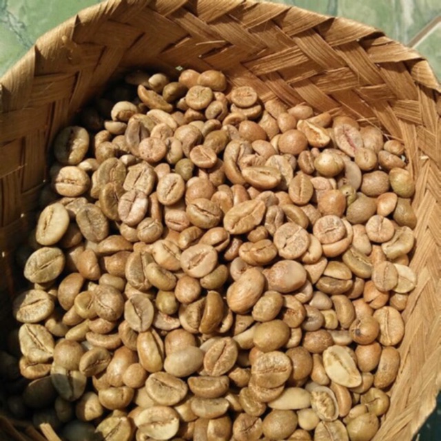 

Green bean (petik merah) ROBUSTA