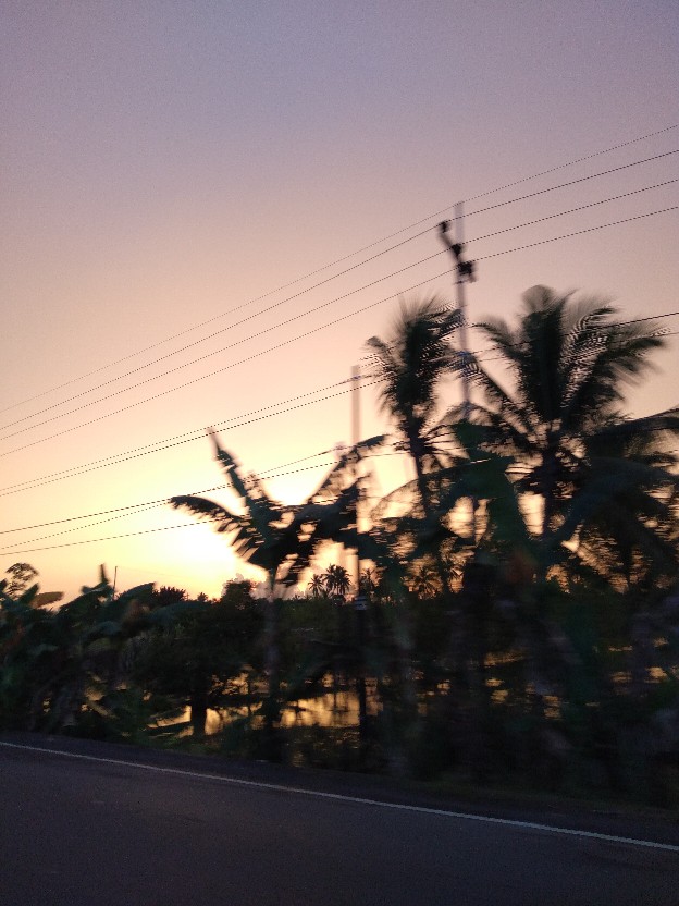 Sabun Asli Arab Pyary 90 Antiseptik Turmeric