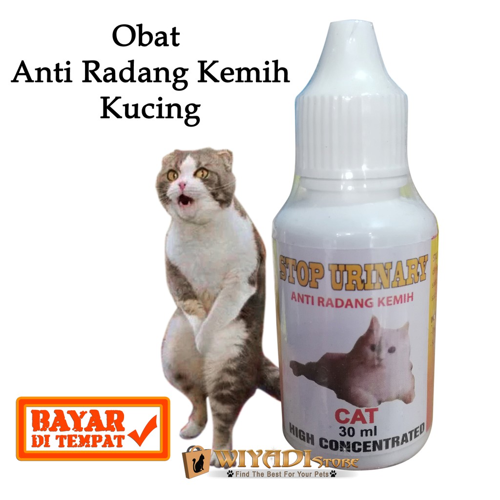 STOP URINARY - Obat Radang Kemih Infeksi Saluran Kecing Susah Buang Air Kecil Kucing