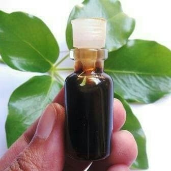 HarumTerus- Jafaron hitam asli minyak yakfaron asli japaron hitam zakfaron hitam original