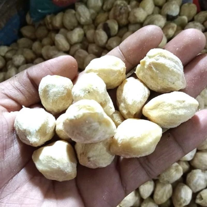 

[500 gram] Kemiri Bulat Utuh 500 gram / kemiri murah / kemiri premium / miri bumbu masak