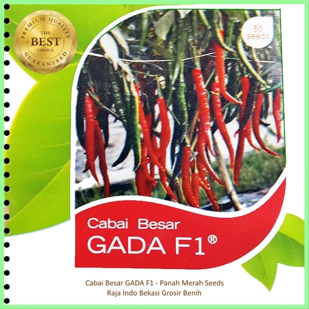 Benih Biji Cabai Besar Gada F1 Cap Panah Merah 50 Biji Cabe Terbaik - Grosir Benih Terlengkap Murah