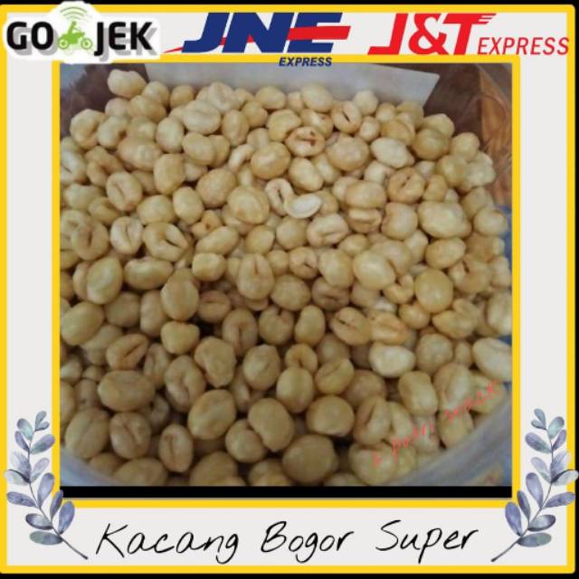 

Kacang bogor super jumbo 1000gr