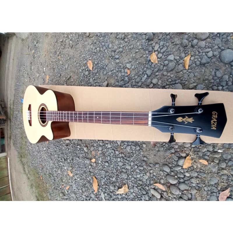 BASS AKUSTIK BASS ACOUSTIC ELEKTRIK