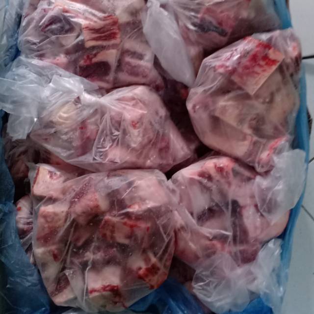 

tulangan nackbone sapi