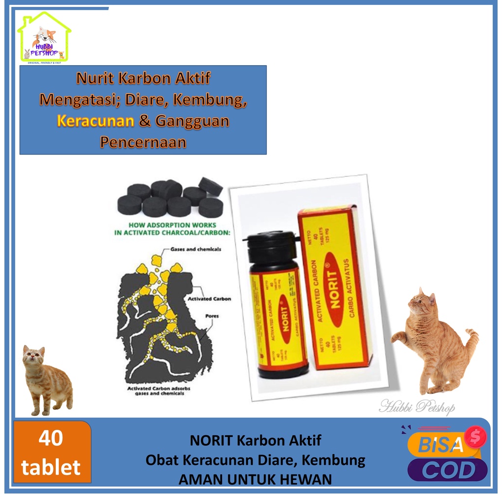 Obat Diare Kucing NORIT obat diare aman untuk anjing &amp; kucing atasi keracunan, kembung dan diare - Norit Karbon Aktif Isi 40tablet