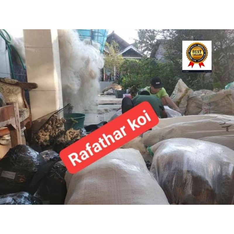 jaring nelayan untuk media filter kolam ikan koi ikan nila ikan arwana dan ikan hias lainnya 7kg