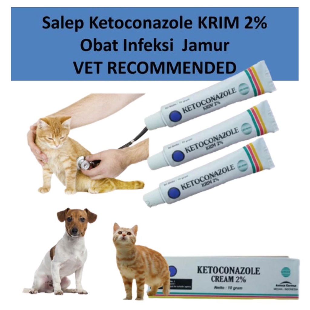 KETOCONAZOLE - Salep Anti Jamur Untuk Kucing FEZONE